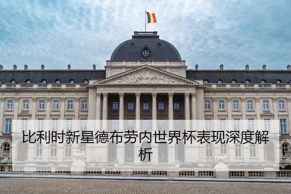 比利时新星德布劳内世界杯表现深度解析